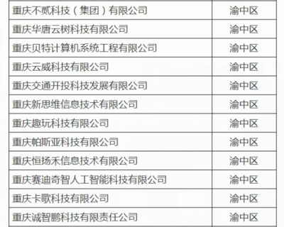 渝中12家企業入選重慶首批“滿天星”示范企業，引領軟件開發新高度